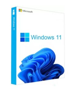 licenta windows 11 home retail