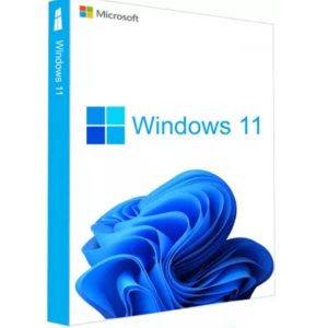 licenta windows 11 home retail