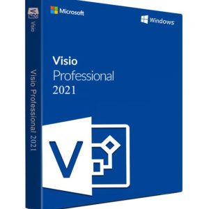 Licenta Microsoft Visio Professional 2021 Retail